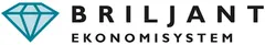 Briljant-logo – understøttet økonomisystem