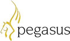 Pegasus Opera-logo – understøttet økonomisystem